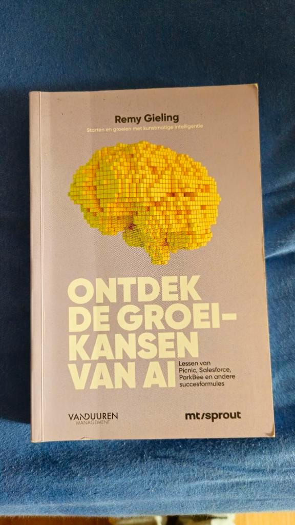 Ontdek de groeikansen van AI - Remy Gieling, Boeken, Economie, Management en Marketing, Gelezen, Management, Ophalen of Verzenden