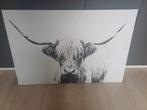 Geweldig groot Schilderij schotse Hooglander, Ophalen, Zo goed als nieuw, Schilderij