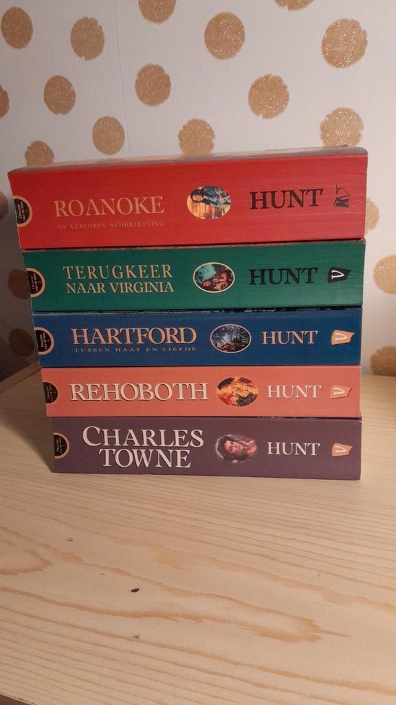 A.Elwell Hunt -  5 delige serie Dragers van de ring, Boeken, Historische romans, Zo goed als nieuw, Ophalen of Verzenden