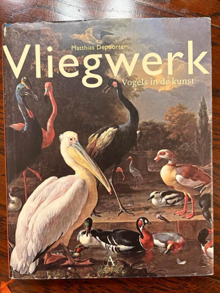 Vliegwerk: Vogels in de kunst, Boeken, Kunst en Cultuur | Beeldend, Zo goed als nieuw, Schilder- en Tekenkunst, Ophalen of Verzenden