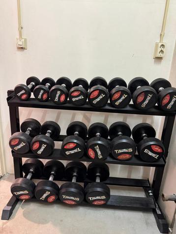 Taurus Gerubberde Halterset 2,5–20 kg incl. rek - top staat! beschikbaar voor biedingen