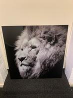 Foto’s van een Leeuw en een Tijger, Huis en Inrichting, Ophalen, Zo goed als nieuw, 75 tot 100 cm, Foto of Poster