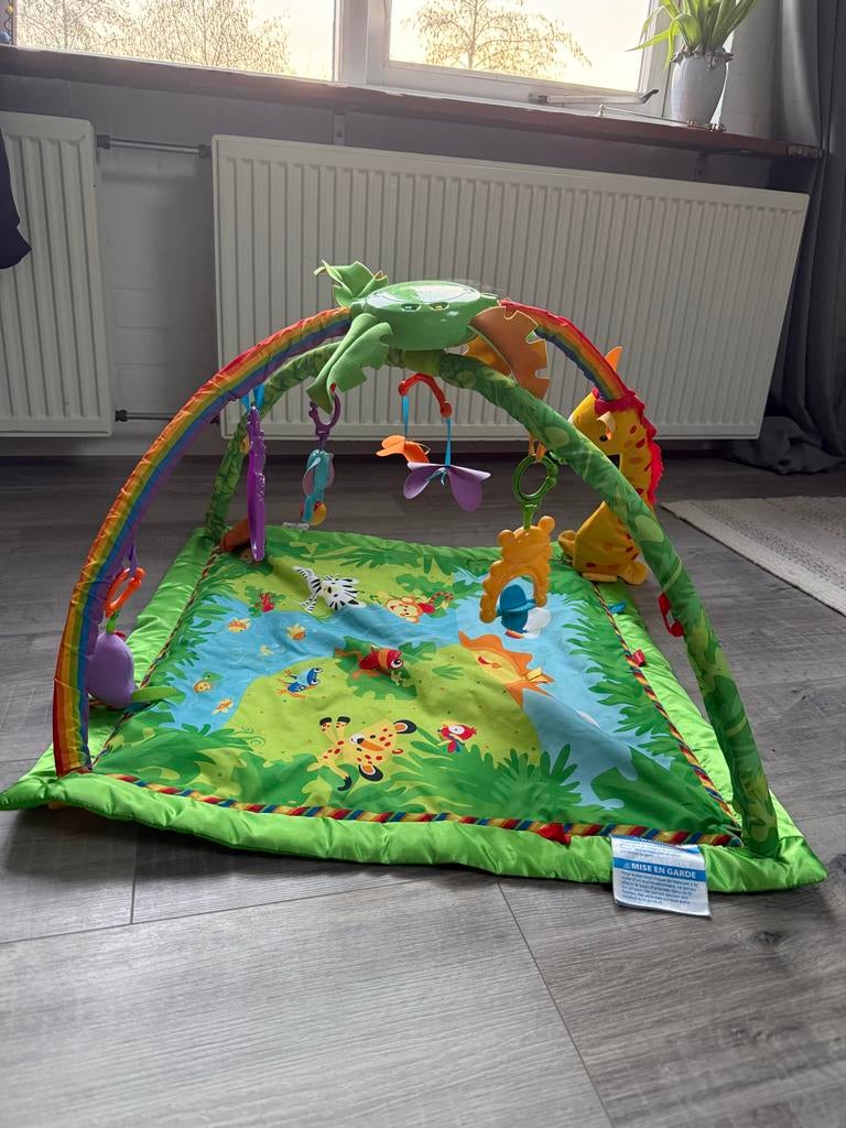 Fisher-Price Speelkleed met Dieren, Ophalen, Zo goed als nieuw