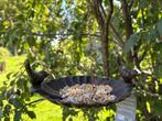 Vogelschaal, Tuin en Terras, Vogelhuisjes en Vogelbaden, Ophalen of Verzenden, Nieuw