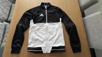 Adidas trainingsjack, Ophalen of Verzenden, Gedragen, Algemeen, Maat 46 (S) of kleiner