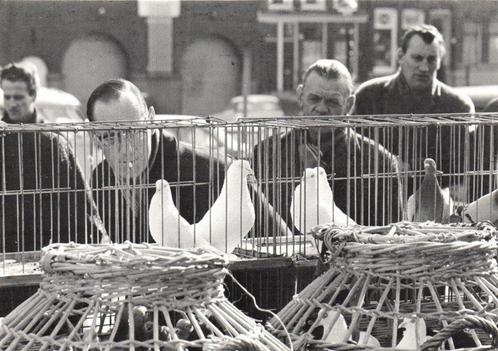 Duivenkenners op de Noordermarkt - De Jordaan - Amsterdam -, Verzamelen, Ansichtkaarten | Nederland, Ongelopen, Noord-Holland