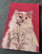 Hele mooie fluffy poes, Verzenden, 1960 tot 1980, Gelopen, Hond of Kat