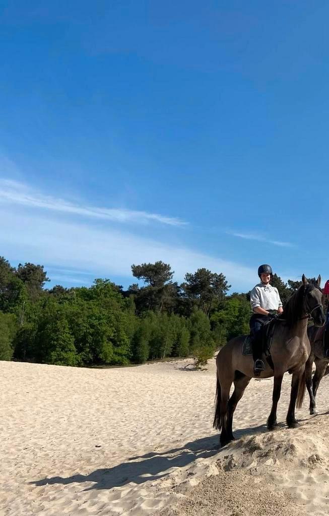 Verzorger, bijrijder aangeboden, Dieren en Toebehoren, Paarden en Pony's | Verzorgingsproducten, Ophalen of Verzenden