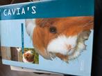 H.L. Schippers - Cavia's, Honden, Ophalen of Verzenden, Zo goed als nieuw, H.L. Schippers