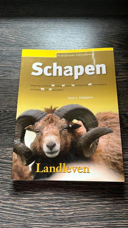 H.L. Schippers - Schapen hovbydieren, Boeken, Dieren en Huisdieren, Zo goed als nieuw, Overige diersoorten, Ophalen of Verzenden