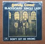 Sandy Coast  - Blackboard jungle lady - Single is TOP, Gebruikt, Verzenden, 7 inch, Single