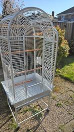Papegaaien/vogelkooi helemaal in nieuwstaat 5 maanden oud, Dieren en Toebehoren, Vogels | Hokken en Kooien, Ophalen, Zo goed als nieuw