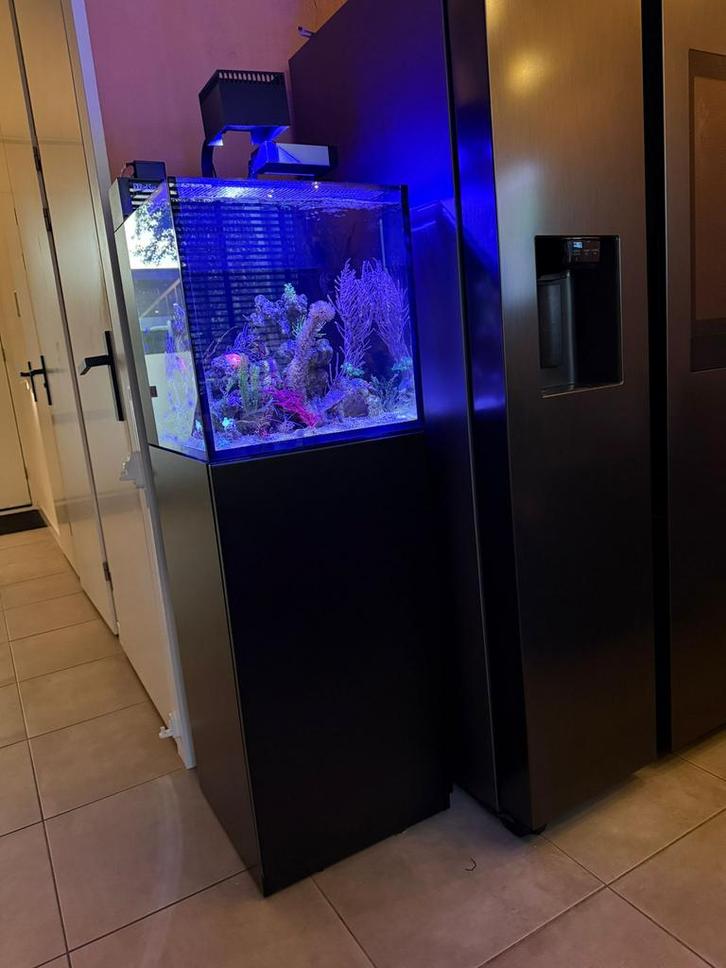 Red Sea Nano max Cube g2 zwart. Met Garantie!, Dieren en Toebehoren, Vissen | Aquaria en Toebehoren, Zo goed als nieuw, Leeg aquarium