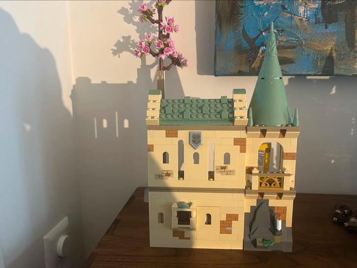 Harry Potter Lego76387 Pluisje 76386 Wisseldrank, Tickets en Kaartjes, Musea, Eén persoon, Ticket of Toegangskaart