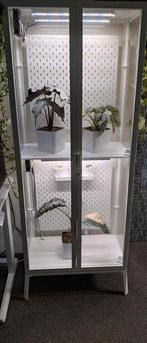 Ikea milsbo greenhouse, Huis en Inrichting, Kamerplanten, Ophalen, Halfschaduw, Minder dan 100 cm