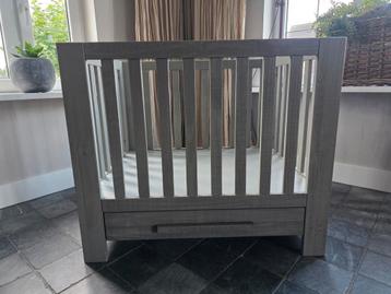 coming kids beschikbaar voor biedingen