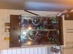 Paludarium met gifkikkers, Dieren en Toebehoren, Reptielen en Amfibieën | Toebehoren, Ophalen, Zo goed als nieuw, Terrarium of Paludarium