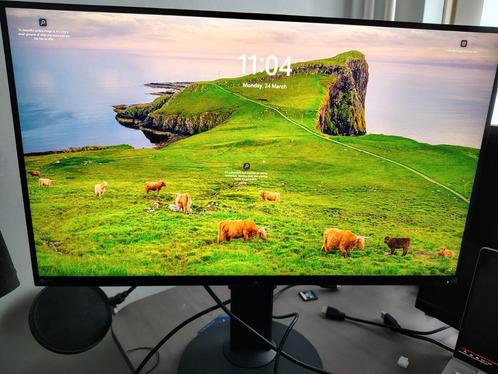 Eizo EV2750 Monitor, Computers en Software, Monitoren, Zo goed als nieuw, 60 Hz of minder, Ophalen of Verzenden