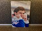ayrton senna div wand bordjes 20 x 30 cm  10,00 PER STUK, Ophalen of Verzenden, Nieuw, Overige typen
