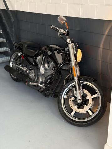 Harley Davidson VRSCF Muscle V-Rod 1250 2009 beschikbaar voor biedingen