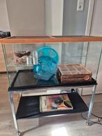 Hamster terrarium met extra's!, Dieren en Toebehoren, Knaagdieren en Konijnen | Hokken en Kooien, Zo goed als nieuw, Ophalen, Minder dan 60 cm