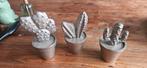 Riviera maison cactussen, Huis en Inrichting, Woonaccessoires | Overige, Ophalen of Verzenden, Zo goed als nieuw