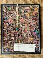 GEVOUWEN KRAANVOGELS IN HOUTEN DOOS MET DEKSEL ONDER GLAS, Ophalen of Verzenden, Nieuw, Overige thema's