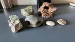 Aquarium ornamenten en stenen, Ophalen