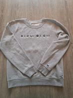 Bien bleu trui grijs maat S, Bien Bleu, Ophalen of Verzenden, Maat 36 (S), Grijs