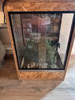 Klein terrarium. Inc spullen., Dieren en Toebehoren, Reptielen en Amfibieën | Toebehoren, Ophalen, Zo goed als nieuw