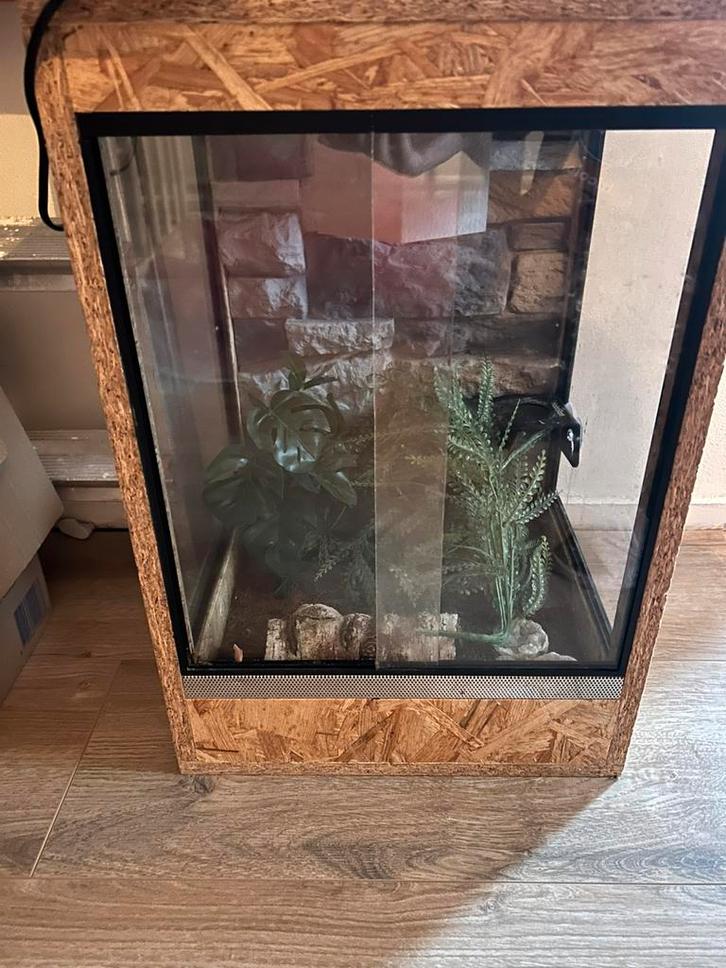 Klein terrarium. Inc spullen., Dieren en Toebehoren, Reptielen en Amfibieën | Toebehoren, Zo goed als nieuw, Ophalen