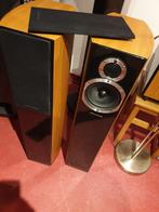 Wharfedale 10.3 luidsprekers, Ophalen, Gebruikt, Front, Rear of Stereo speakers, Overige merken