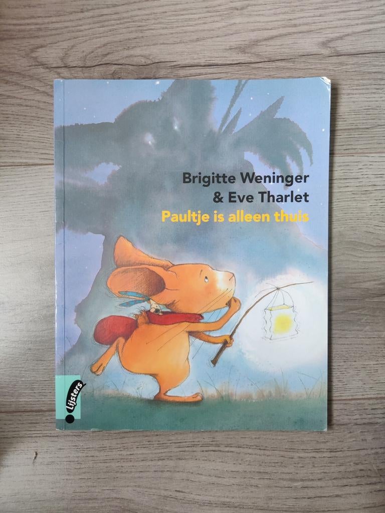 Paultje is alleen thuis - Brigitte Weninger, Fictie algemeen, Ophalen of Verzenden, Zo goed als nieuw, Voorleesboek