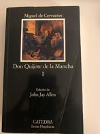 Don Quijote de la Mancha I - John Jay Allen, Boeken, Ophalen of Verzenden, Zo goed als nieuw, Overige onderwerpen