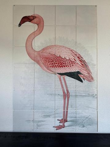 IXXI Lesser Flamingo beschikbaar voor biedingen