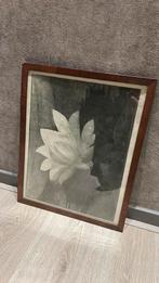 Lotusbloem Litho (tentoongesteld in Amsterdam museum), Antiek en Kunst, Kunst | Schilderijen | Klassiek, Verzenden