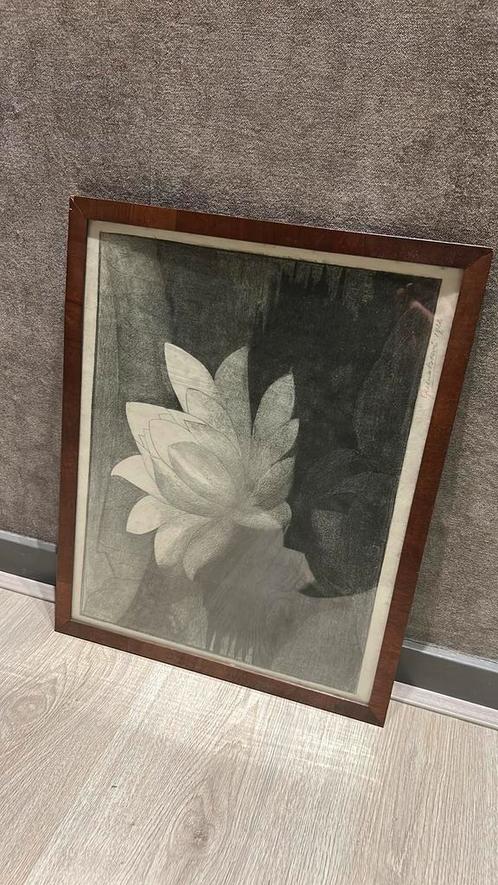 Lotusbloem Litho (tentoongesteld in Amsterdam museum), Antiek en Kunst, Kunst | Schilderijen | Klassiek, Verzenden