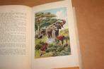 Hans Sterk, de olifantenjager. Drayson. Uitg. Kluitman 1911., Boeken, Ophalen of Verzenden, Gelezen