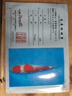 Kohaku, Dieren en Toebehoren, Karper of Koi