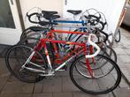 Diverse Peugeot racefietsen oldtimer, Eroica, Ophalen