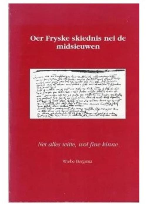 Friesland: oer fryske skiednis nei de midsieuwen, Boeken, Geschiedenis | Stad en Regio, Zo goed als nieuw, Verzenden