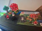 Lego Minecraft Paddenstoelenhuis 21179, Ophalen of Verzenden, Zo goed als nieuw, Complete set, Lego