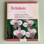 ORCHIDEEÉN, Ophalen of Verzenden, Halfschaduw, Minder dan 100 cm