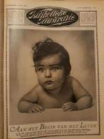 Katholieke illustratie., Ophalen of Verzenden, Zo goed als nieuw, Overige typen