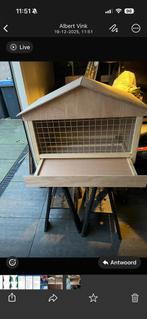 Tortel duif + Kooi, Dieren en Toebehoren, Vogels | Duiven, Mannelijk, Tortelduif