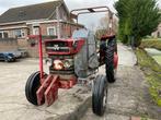 Massey Ferguson 185 Oldtimer tractor, Oldtimer, Massey Ferguson