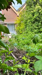 Tuin, Ophalen of Verzenden, Zo goed als nieuw, Tuinontwerpen