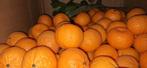 Dozen vol realitische maat plastic groenten & fruit, Kinderen en Baby's, Ophalen, Zo goed als nieuw, Kunststof, Speelkeuken-accessoire