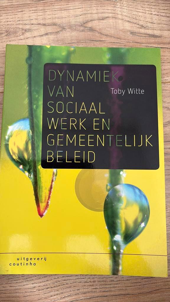 Dynamiek van sociaal werk en gemeentelijk beleid, Boeken, Politiek en Maatschappij, Zo goed als nieuw, Maatschappij en Samenleving