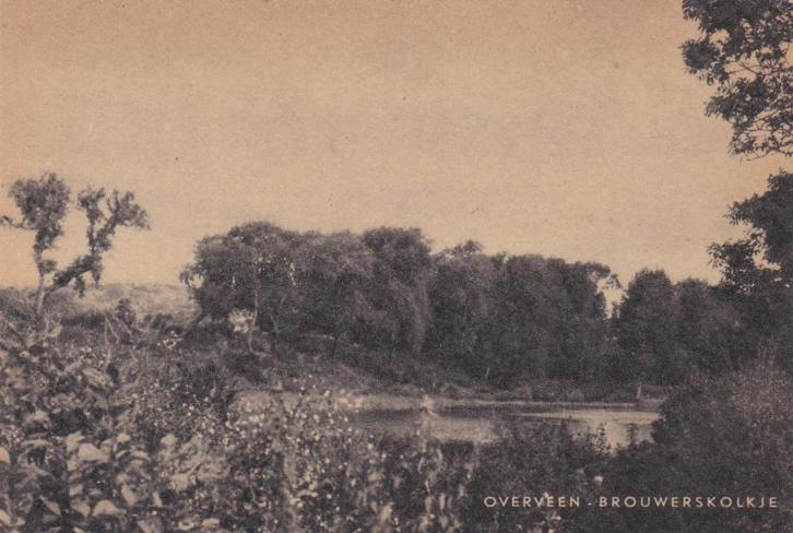 17401  Brouwerskolkje Overveen Noord-Holland, Verzamelen, Ansichtkaarten | Nederland, Ongelopen, Noord-Holland, 1940 tot 1960